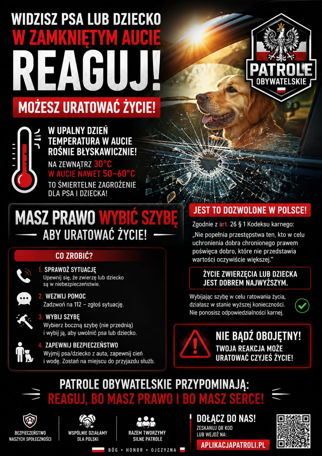 Plakat Patroli Obywatelskich — Widzisz psa lub dziecko w zamkniętym aucie, reaguj! Masz prawo wybić szybę.